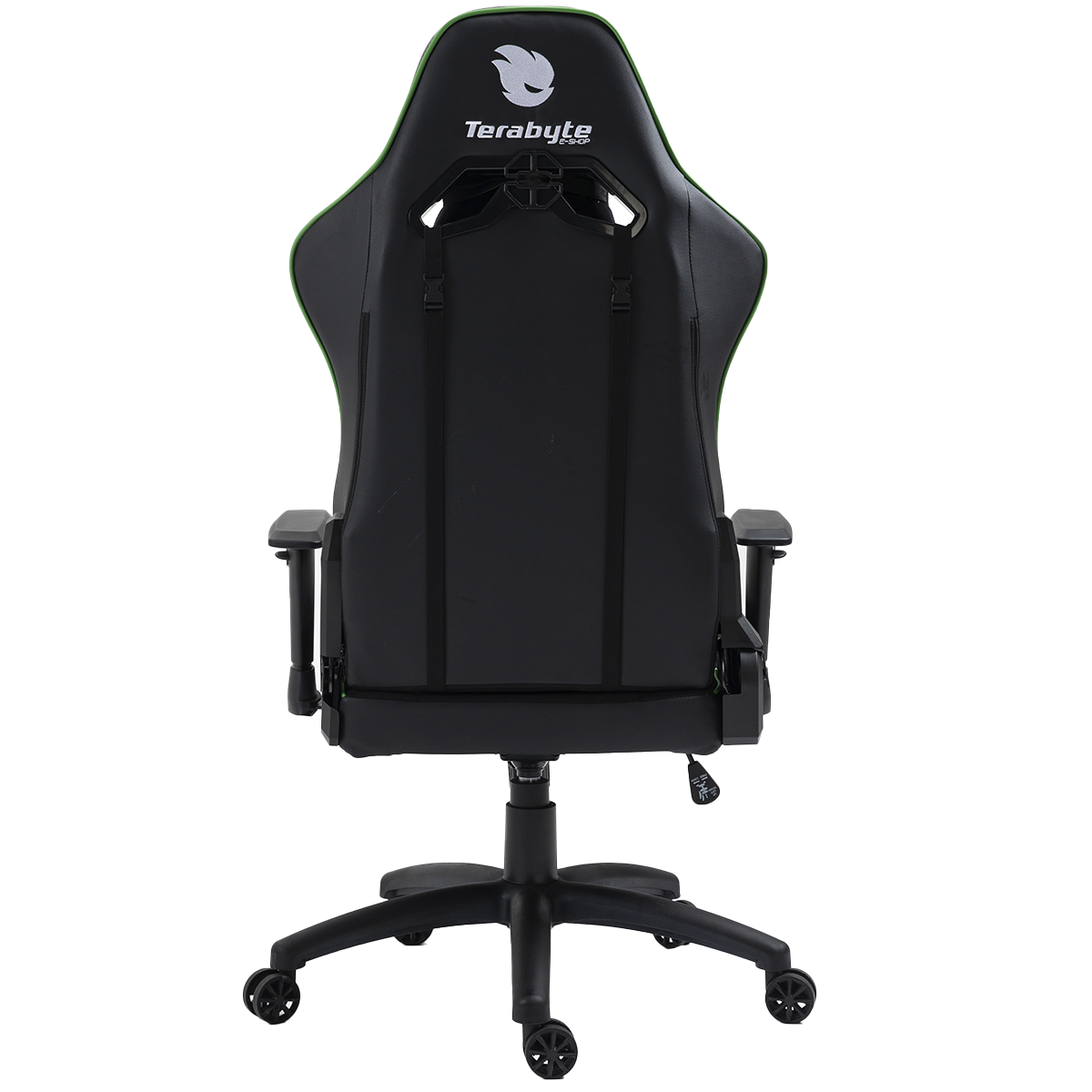 Cadeira Gamer Terabyte Vision, Reclinável, 2D, Preto e Verde