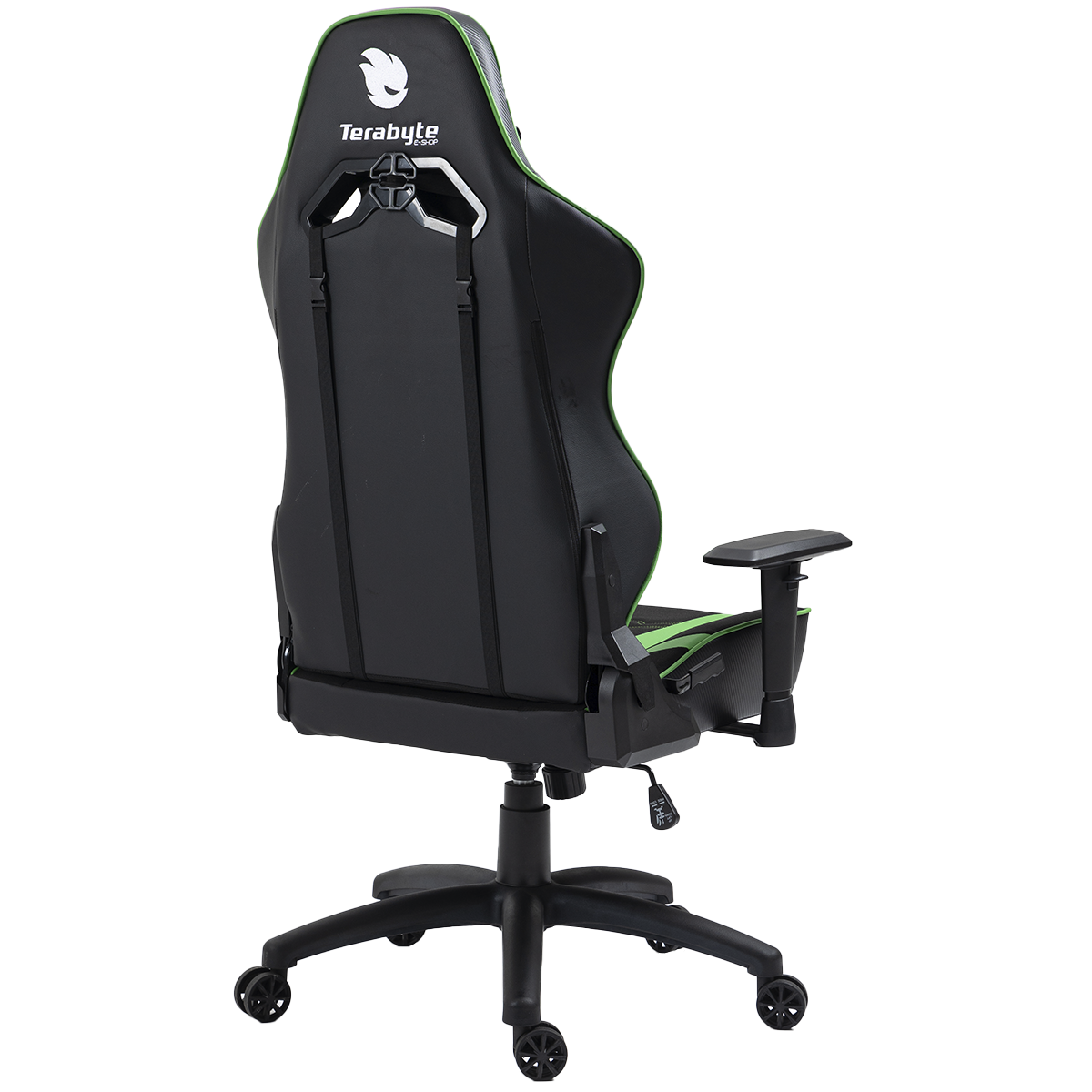 Cadeira Gamer Terabyte Vision, Reclinável, 2D, Preto e Verde