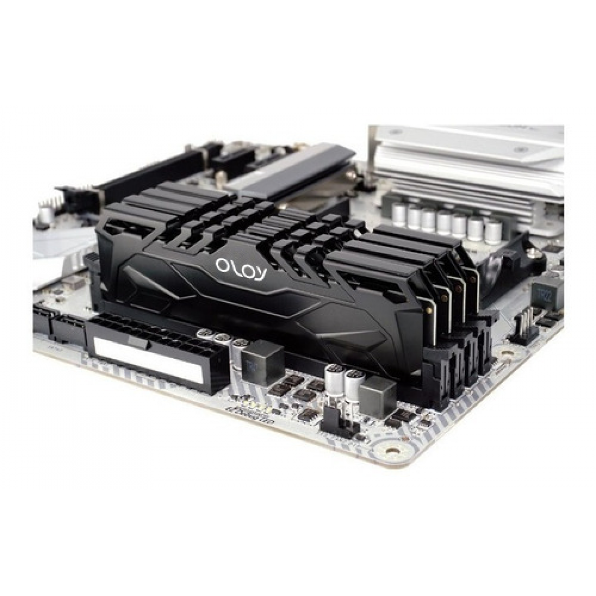 Memória DDR4 OLOy Owl Black, 8GB, 3600MHZ, ND4U083618BJSA