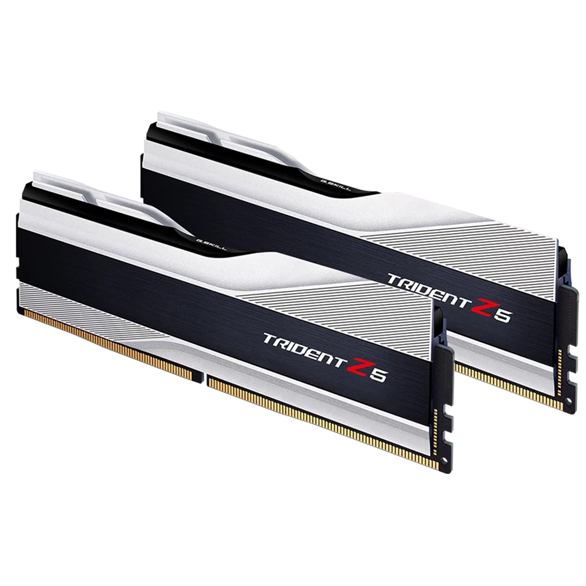 Memória DDR5 G.Skill Trident Z5, 32GB (2x16GB), 5600MHz, Silver, F5-5600J4040C16GX2-TZ5S