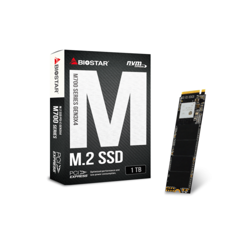 SSD Biostar M700, 1TB, M.2 2280, NVMe, Leitura 2000MBs e Gravação 1650MBs, SS263PME3T-PMABL-BS2