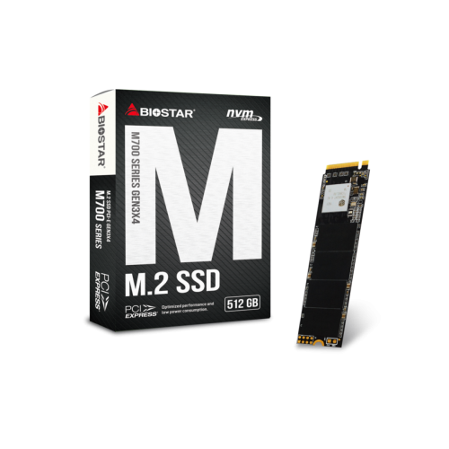 SSD Biostar M700, 512GB, M.2 2280, NVMe, Leitura 1700MBs e Gravação 1450MBs, SS263PME35-PM1BK-BS2
