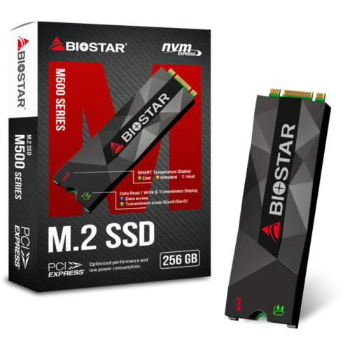 SSD Biostar P300, 256GB, NVME, Leitura 1600MBs e Gravação 900MBs, SE160PM236-YT1B8-BS2