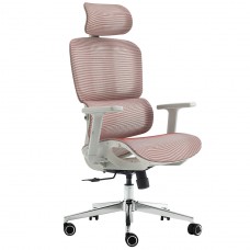 Cadeira de Escritório Dr. Office Business, Mesh, 2D, Ajustável, Suporta até 120kg, Rosa Antigo, DR-CH-BNN2DPF