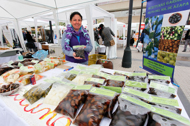 Emprendedores y pymes son apoyados constantemente por ProO'Higgins.
