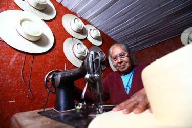 Este sello es una marca que sólo podrá utilizarse para productos originarios de Chile que previamente hayan obtenido el reconocimiento por el Instituto Nacional de Propiedad Industrial. 