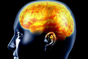 Las epilepsias son el funcionamiento anormal del cerebro por períodos de tiempo limitado.