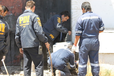 Los animales fueron rescatados desde la bodega abandonada en la población La Granja.
