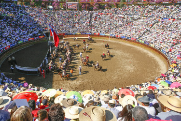 La Medialuna Monumental tendría su nueva cara para el torneo de 2016.