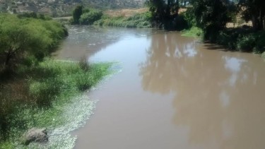 El estero Las Toscas, riega unas 7000 hectáreas.