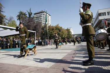 La sección canina de Carabineros también participó en la tradicional actividad. 