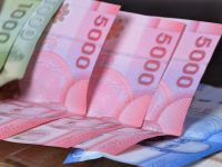 El Instituto de Previsión Social (IPS) informa que el Aporte Familiar Permanente, conocido como Bono Marzo, comenzará a pagarse a partir de febrero de 2026 de forma automática. 