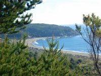 De acuerdo al Centro Sismológico Nacional, los eventos telúricos oscilaron entre los 3,1 y 4,1 de magnitud.