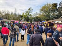 La autoridad explicó que durante estas semanas se han intensificado las fiscalizaciones sanitarias en toda la región, con el objetivo de asegurar que los alimentos que consume la población sean inocuos.