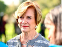 En plena carrera presidencial, la candidata de Chile Vamos, Evelyn Matthei, presentó una serie de propuestas destinadas a enfrentar la sostenida caída en la tasa de natalidad del país, apuntando a un enfoque estructural más allá de los bonos por nacimiento.