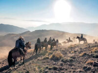La cabalgata comenzará a las 9:00 horas desde el Cerro San Juan, punto desde donde los participantes iniciarán un recorrido que culminará en la Medialuna de Coya. 