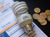 Quienes resulten seleccionados serán informados a través de un correo electrónico enviado por la plataforma oficial.