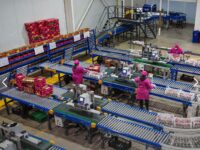 El plan de la compañía consistía en reactivar sus operaciones exportadoras y diversificar el uso de sus terrenos agrícolas, pero no logró convencer a sus principales acreedores.