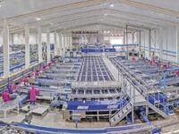 El reciente proceso de liquidación forzosa de Olivar Export SPA, quebrada por una deuda de US$ 21 millones, junto con representar un fuerte golpe económico para la región de O’Higgins, abre nuevas dudas respecto a la realidad del sector agroindustrial. 