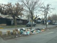 Contempla la limpieza del bandejón central de Avenida Providencial, además de la plantación de árboles y especies de bajo consumo hídrico