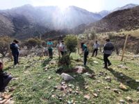 Una estudio identificó limitaciones en la participación comunitaria, una alta dependencia del financiamiento privado y la ausencia de ecosistemas marinos en las políticas de restauración actuales.