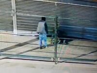 Uno de ellos fue retenido tras ser sorprendido por un perro bóxer al intentar huir por la parte posterior del inmueble.