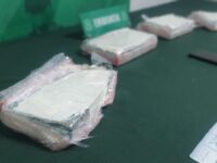 La acción de Carabineros realizada de forma preventiva por el fin de semana largo, se apoyó en el can "Kelsy" que detectó la droga.