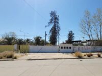El municipio ya trabaja en el diseño del proyecto a través de la Secretaría de Planificación (Secplan).