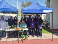 La actividad invitó a los funcionarios a regalar plantas a la comunidad hospitalaria, contribuyendo a crear espacios más acogedores y sustentables.