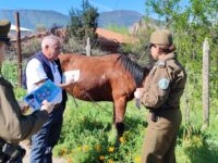 Carabineros entregó recomendaciones a propietarios y cuidadores de ganado en la comuna.