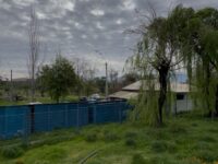 La acción judicial tiene como objetivo esclarecer los hechos e identificar a los responsables del ingreso ilegal y del maltrato animal en el refugio.