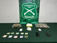 El can antidrogas marcó positivo a ketamina, cocaína y marihuana elaborada. 