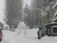El invierno se despide con intensas nevadas del fin de semana, tiñendo de blanco los paisajes y atrayendo a aventureros que, en vehículos 4x4, se atrevieron a desafiar el frío y la nieve.