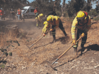 Desde Conaf destacan el rol preventivo de la ciudadanía en el cuidado de bosques y áreas verdes.