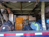 Unidades caninas especializadas de Carabineros participaron en el control de sustancias ilícitas.