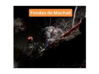 Bomberos acudió al lugar ayudando en el rescate.