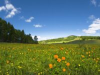 Mas presencia de luz y aumento de temperaturas incide en la actividad agrícola e invitan a la vida al aire libre.