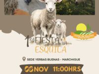 La cita es el viernes 8 de noviembre a las 11:00 horas, en la sede Yerbas Buenas de Marchigüe, con entrada gratuita para todo público.