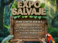  El lugar contará con zona para niños, bazar, food trucks, música en vivo y diversas actividades recreativas.