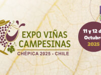 El 11 y 12 de octubre, la Plaza de Armas de Chépica será el epicentro de una fiesta única que celebra el folclor, la gastronomía local y el trabajo de las viñas campesinas. Una experiencia imperdible organizada por el Gobierno Regional de O’Higgins y diversas instituciones.