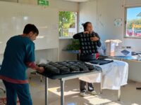 La iniciativa contempla 8 módulos teórico-prácticos que abordarán temas como RCP, primeros auxilios, aseo, confort, prevención de lesiones en la piel, manejo de sondas, dispositivos respiratorios, movilización de pacientes y autocuidado, entre otros.