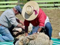 Esta actividad está programada para el 1 de noviembre
