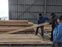 Hoy arrancaron los nuevos gravámenes de Estados Unidos a la exportación forestal.
