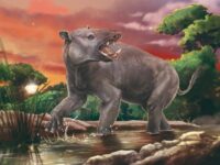 El descubrimiento permite un avance en la reconstrucción del patrimonio biológico nacional.