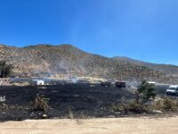 Siniestro preliminarmente ha consumido al menos seis hectáreas.