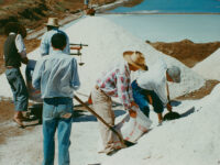 Instancia busca fortalecer la representatividad cultural y participación en políticas públicas.