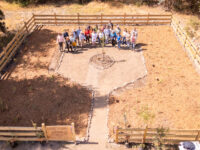 Permitirá a los productores caracterizar sus mieles con parámetros objetivos y trazables, requisito cada vez más valorado por el mercado y por consumidores atentos a la procedencia y composición de lo que consumen.