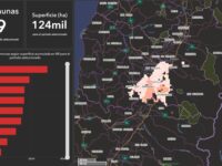 Chimbarongo, San Vicente, Chépica, Placilla, Nancagua, Santa Cruz, San Fernando, Malloa y Rengo. 
