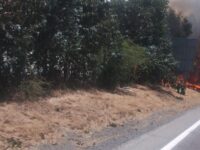 Noticia en desarrollo.