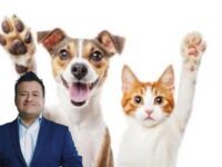 Gubernatti explica que esta iniciativa no sólo es posible, sino que está dentro de las atribuciones reales de un parlamentario.